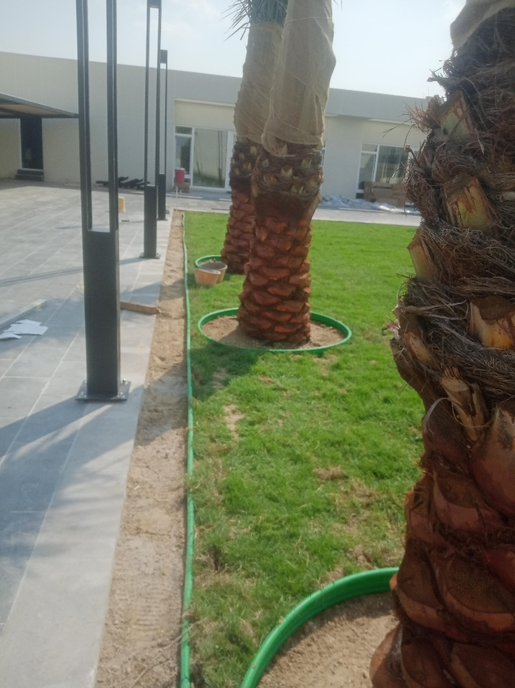 للزراعة وترتيب البيت - 2