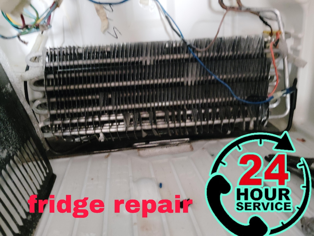 freezeer repair - 2