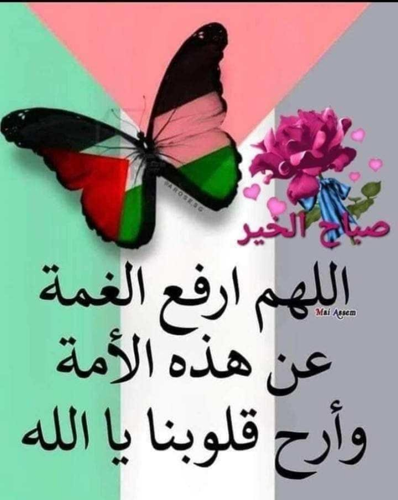 مس نجاة - 1