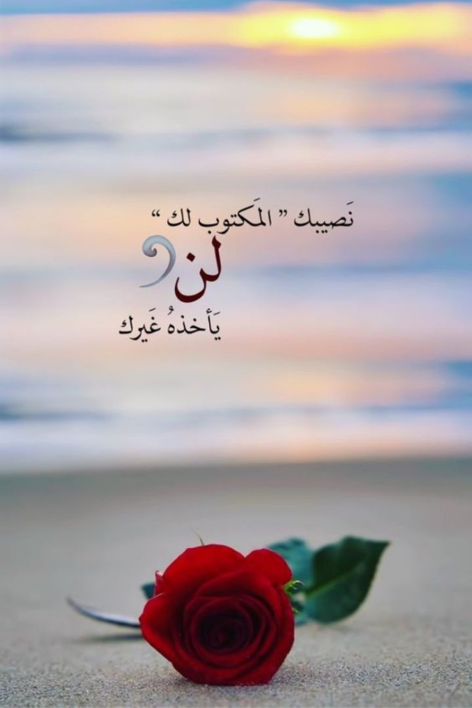 Hafez - 1