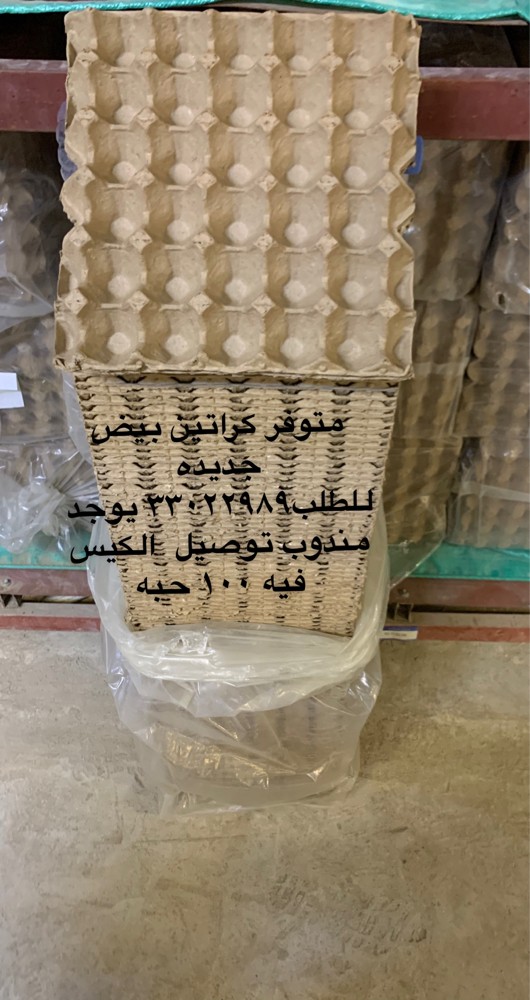 اطباق بيض للبيع - 1