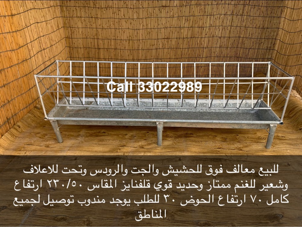 Sheep feeders for sale - 4