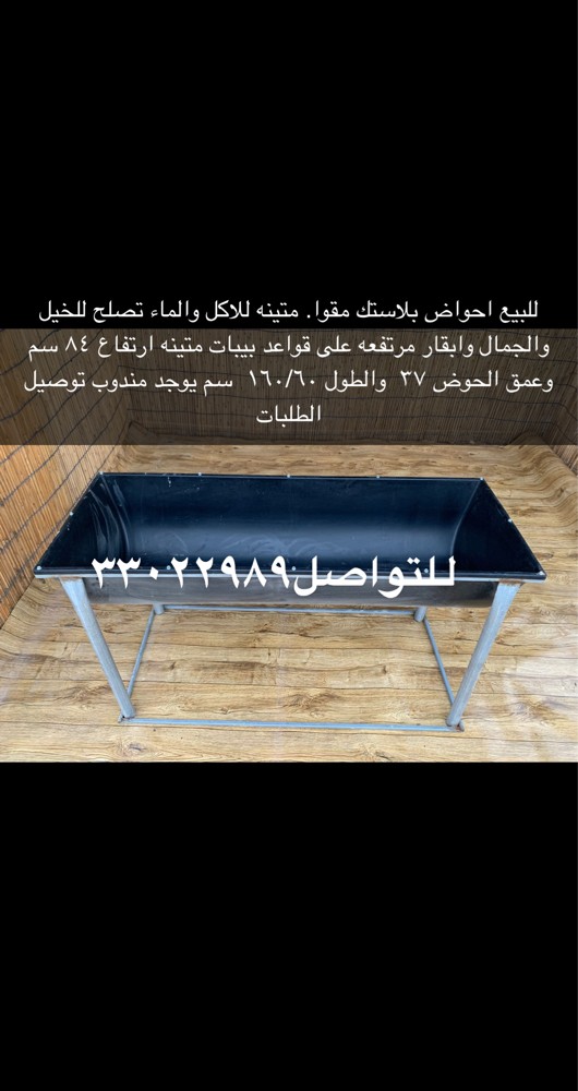 Camel feeders for sale - 2