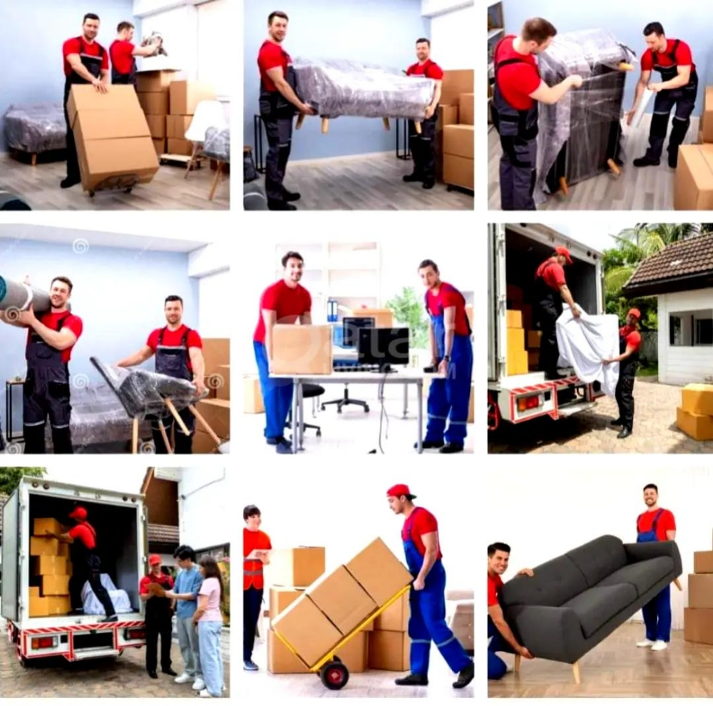 Moving & Shifting Service. - 1