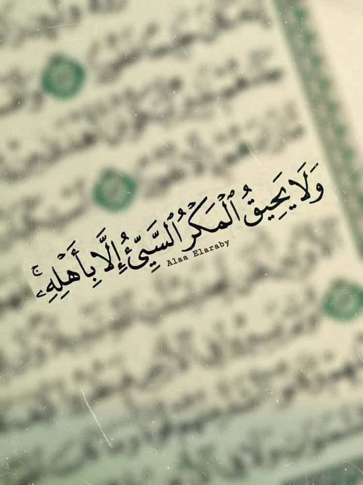 مدرسة ابتدائى جميع المواد - 1