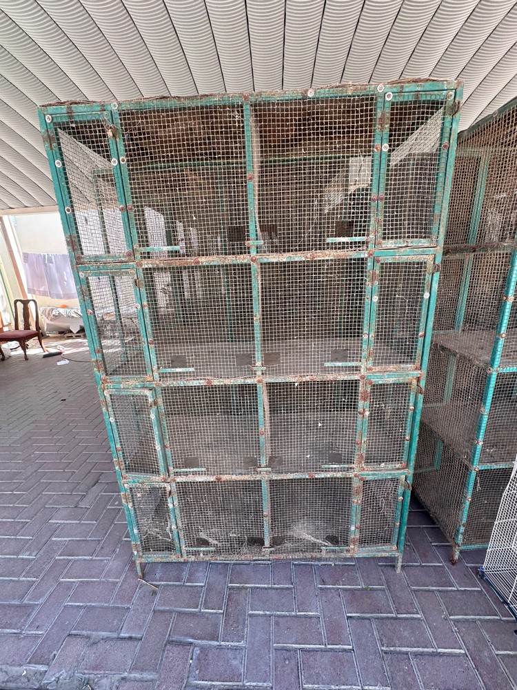 all are non used 30566594 - 1