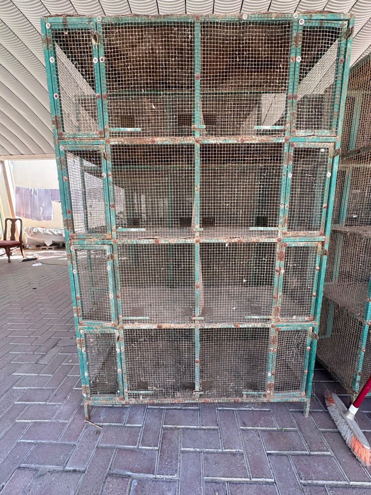 all are non used 30566594 - 2