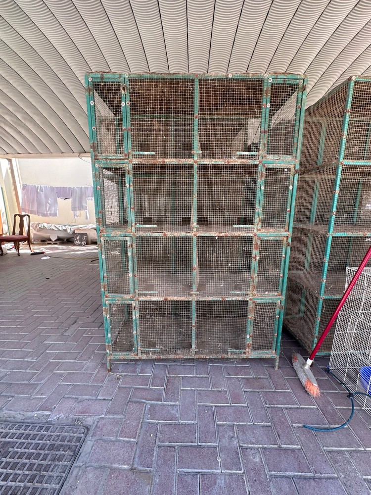 all are non used 30566594 - 3