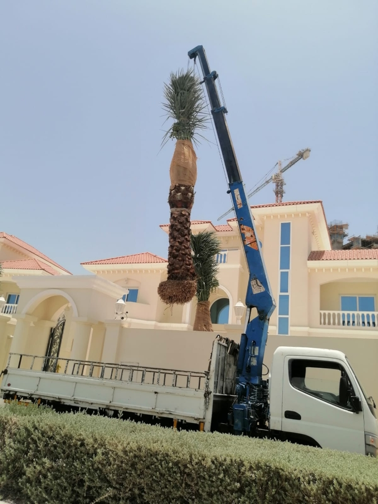 كرين بيكب لرفع - 2