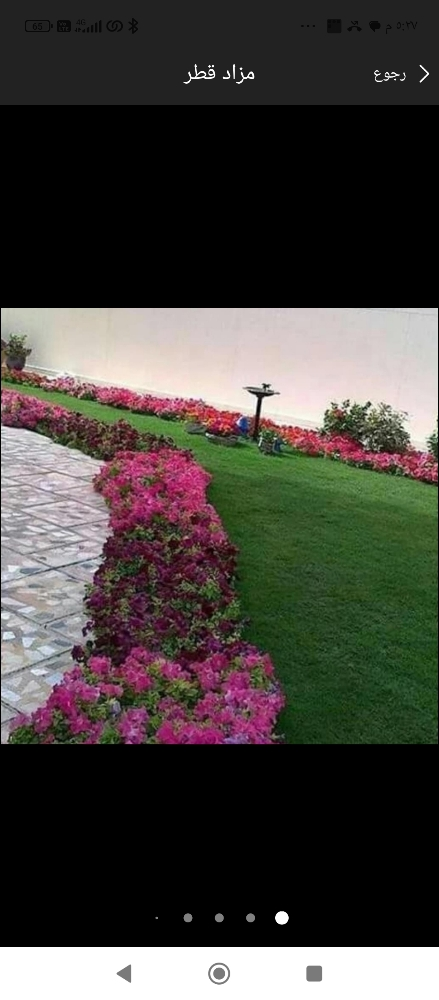 زراعه الورود والعشب والاسجار - 1