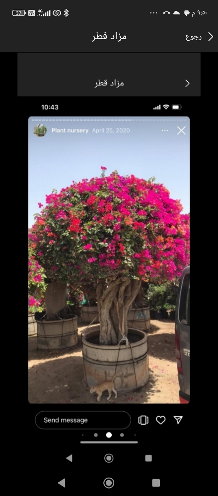 مزارع ومنسق حدائق - 1