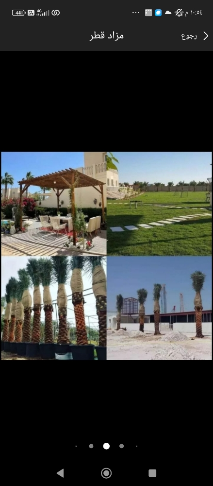 نخيل - 5