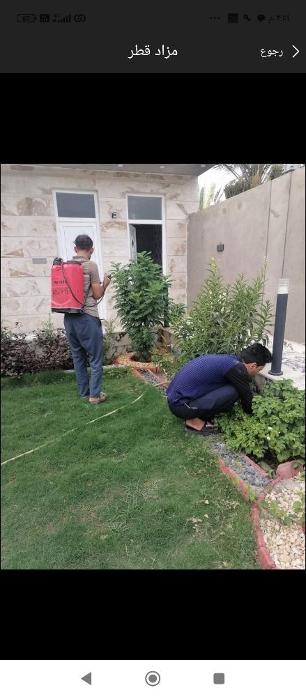 قص الاشجار والنخيل وتنظيف الحدائق - 1