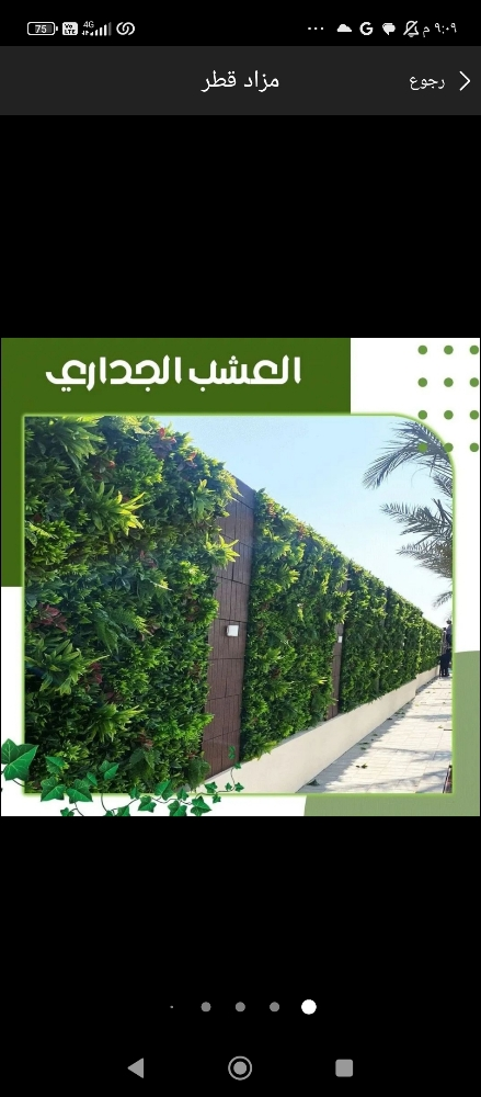 توريد وتركيب العشب الطبيعي - 1