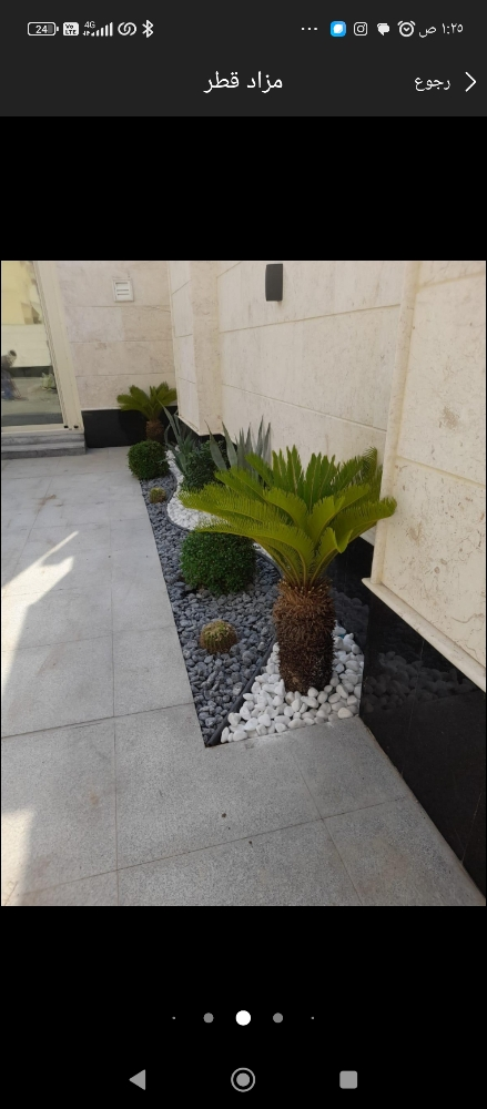 شركه زراعه - 9