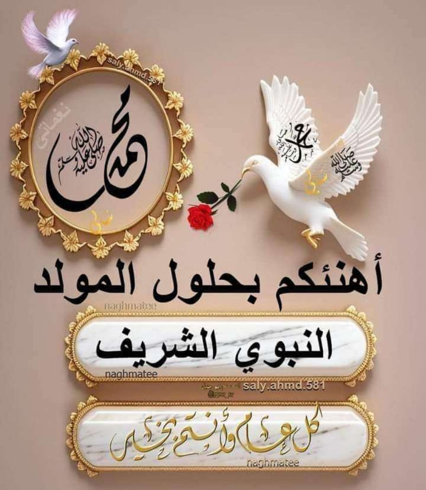 توصيل موظفين او مدرسين طلاب - 1