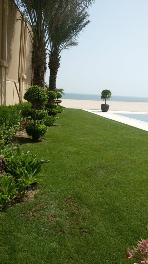 زراعه وديكور - 4