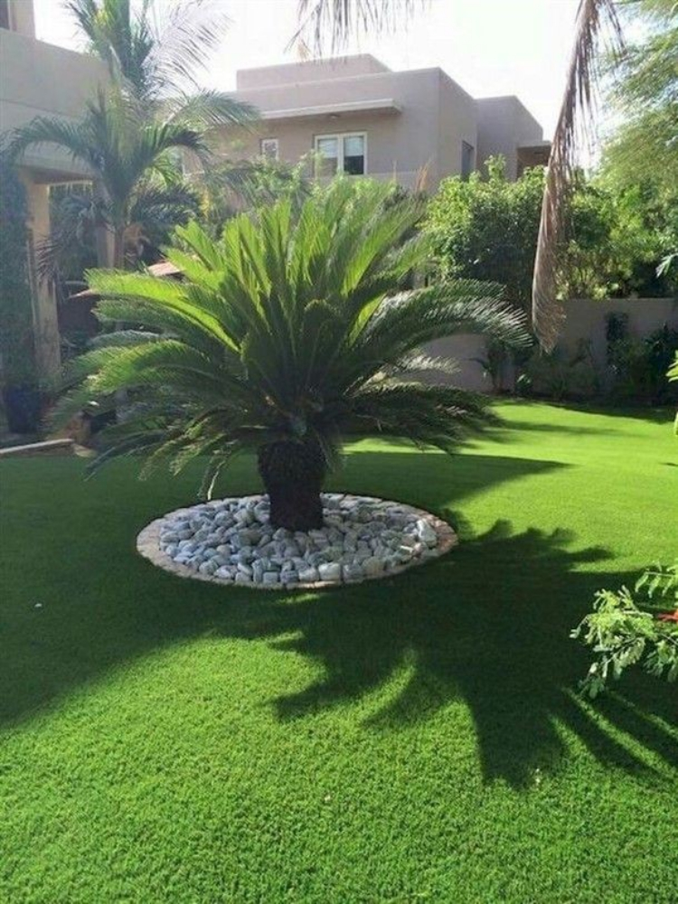 زراعه وديكور - 5