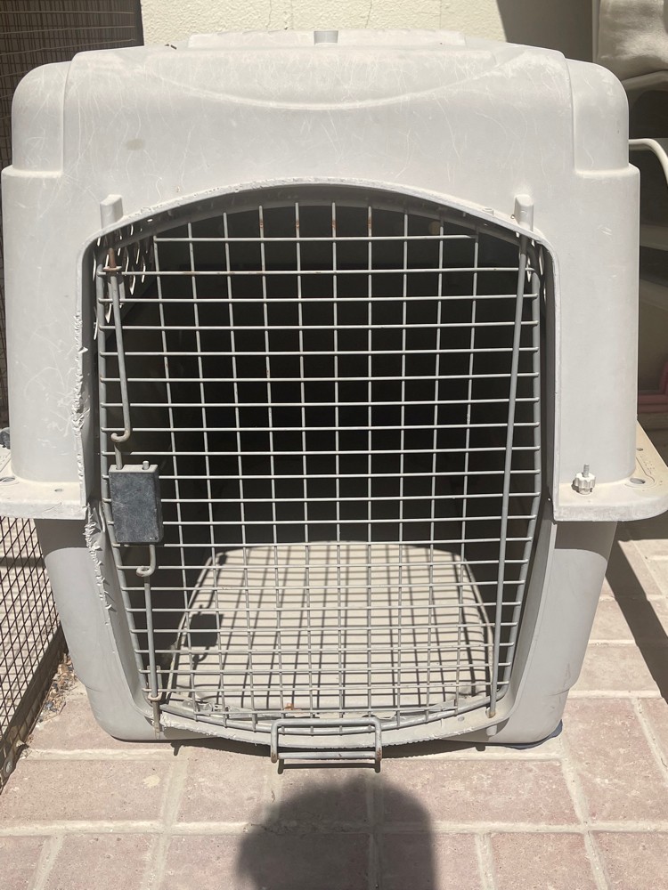 cage  - 1