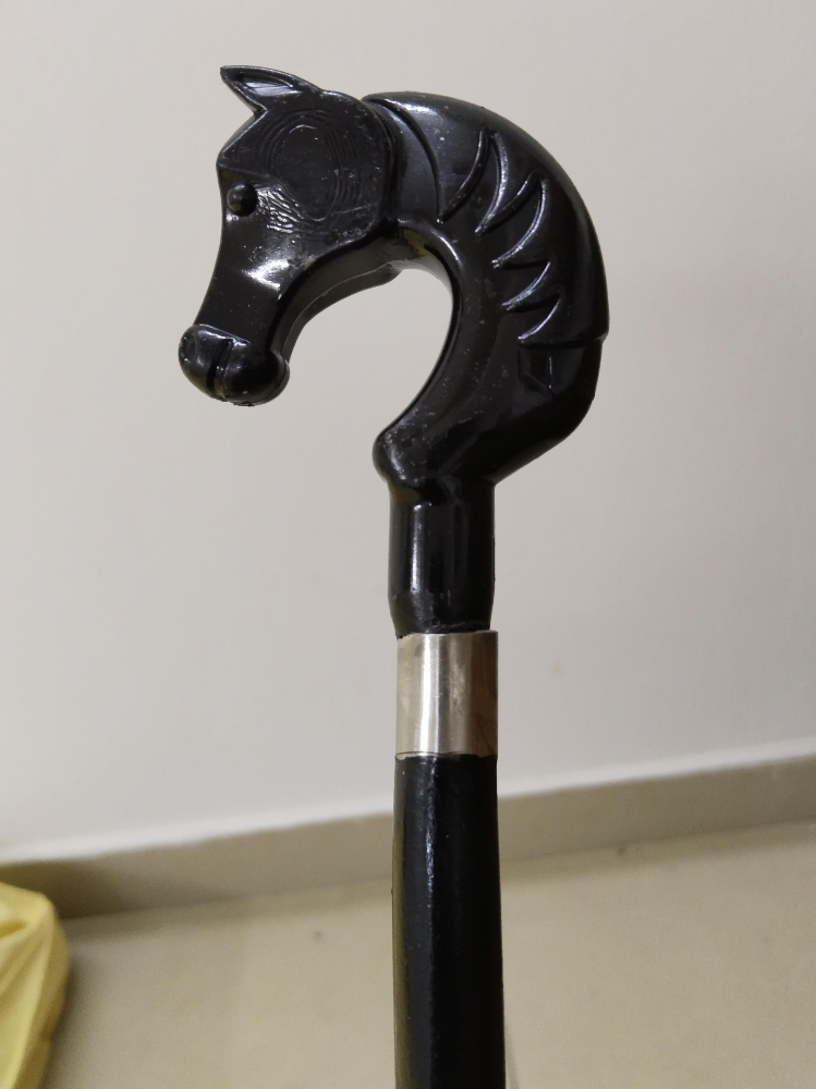 Walking stick - 1