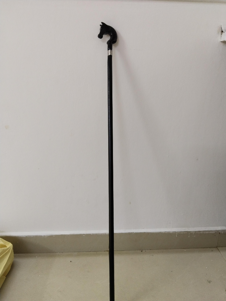 Walking stick - 3