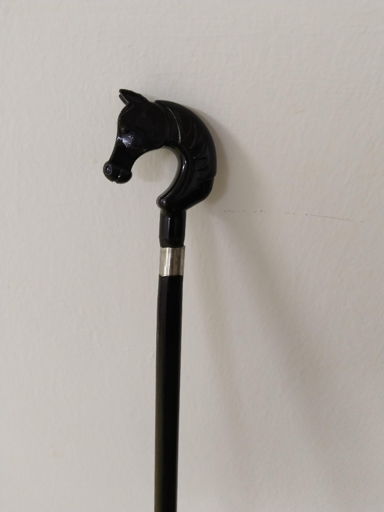 Walking stick - 2