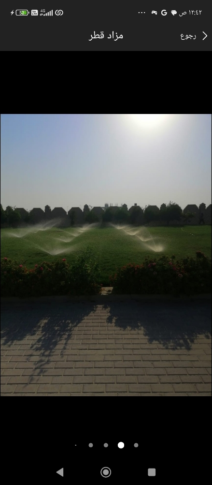 زراعه الورود والعشب - 3