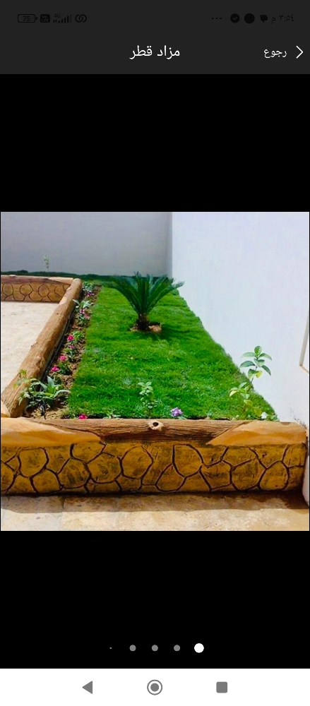 زراعه الورود والعشب - 7
