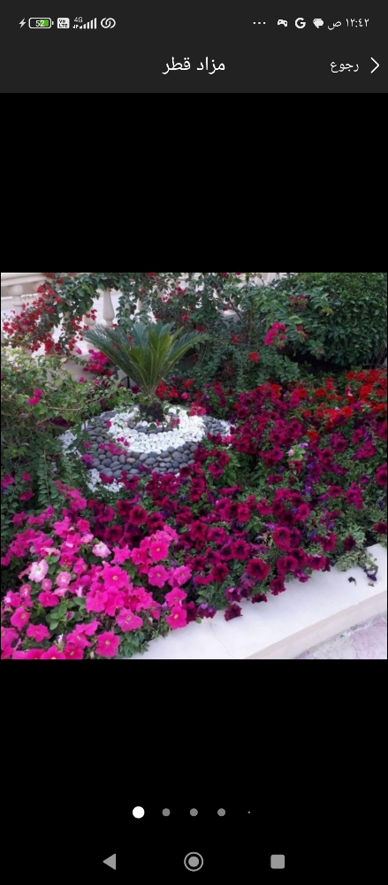 زراعه الورود والعشب - 4