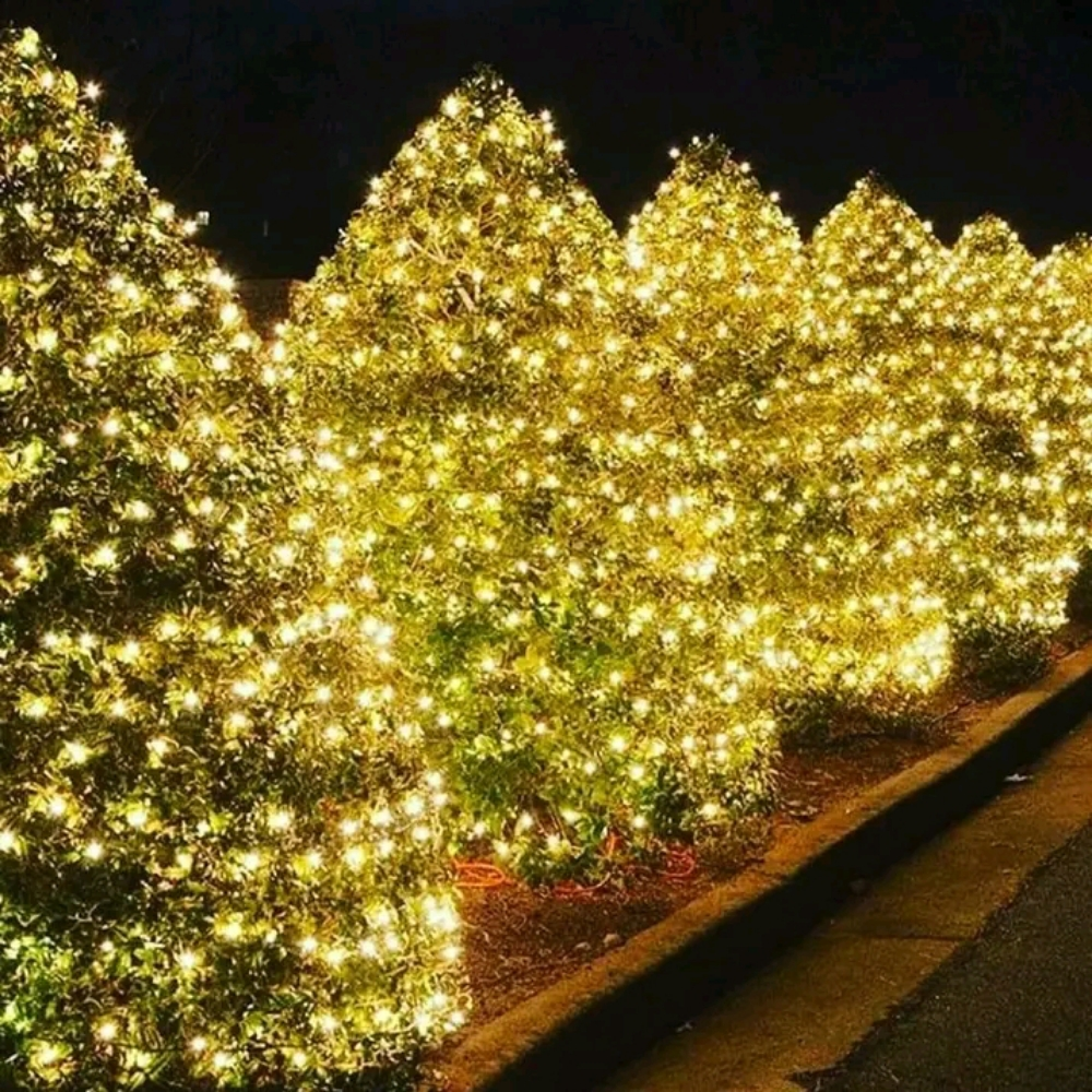 Event lighting decoration,Qatar - 11
