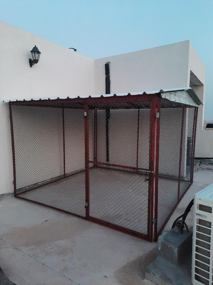 حمام - 3