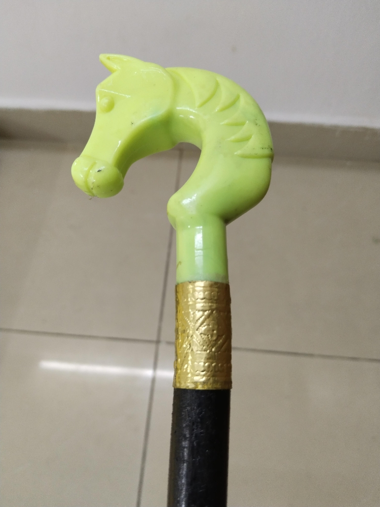 walking stick - 1