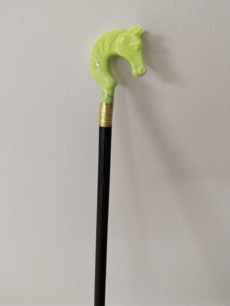 walking stick - 2