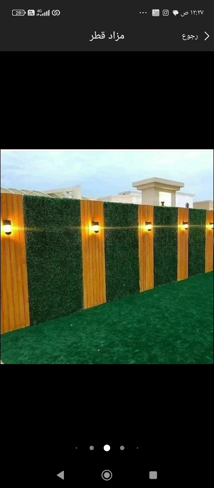نخيل زراعه الحدائق - 10