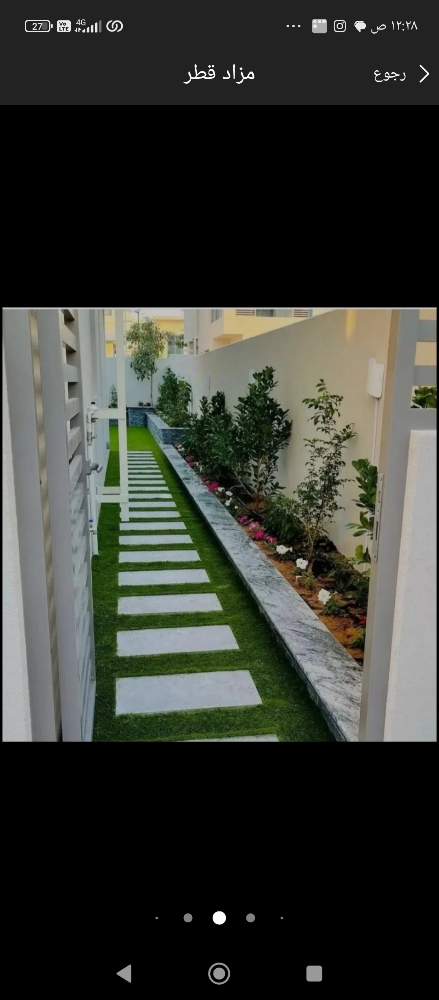 نخيل زراعه الحدائق - 12