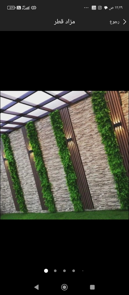 نخيل زراعه الحدائق - 15
