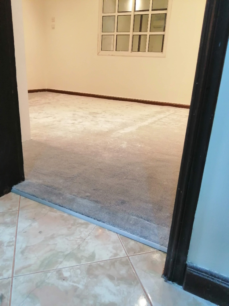 باركيا، ورق حائط كاربات، ستائر، ع - 8