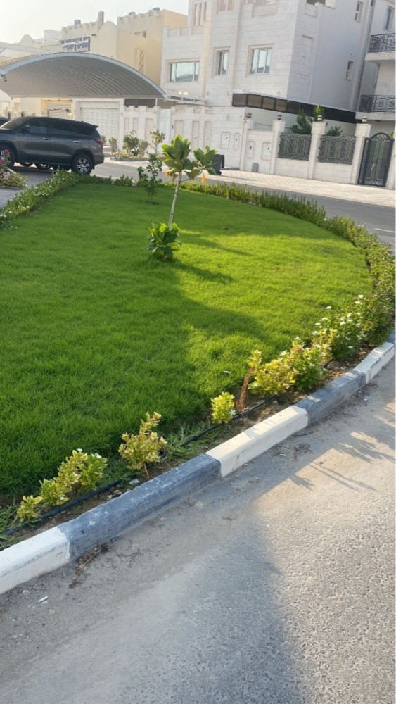 تكريب النخيل زراعة رش البلعوم   - 4