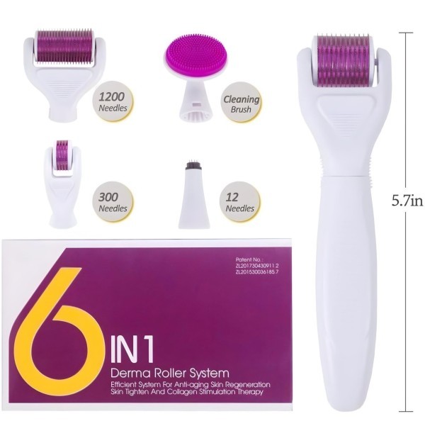 6-in-2 Derma Roller System - 1