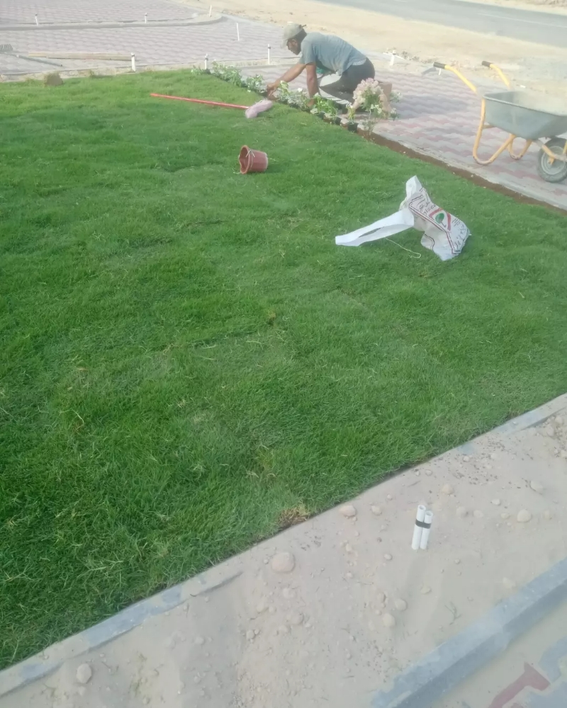 زراعه وعشب طبيعي وصناعي - 7