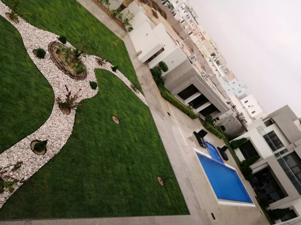 زراعه وعشب طبيعي وصناعي - 1
