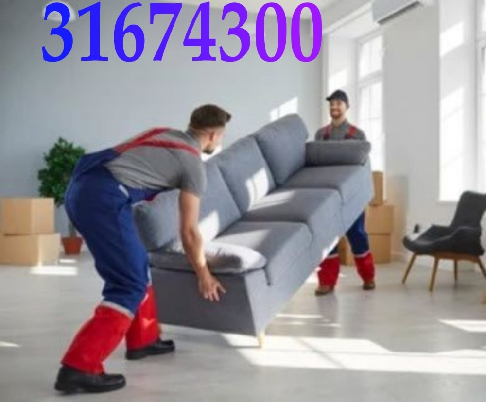 Qatar best moving shifting servic - 10