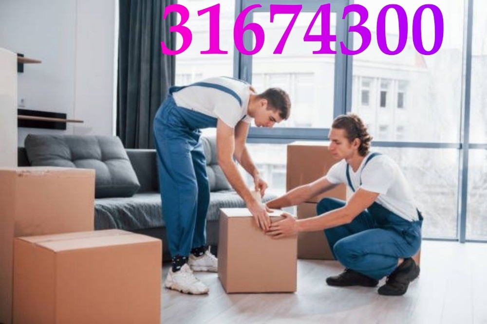 Qatar best moving shifting servic - 9