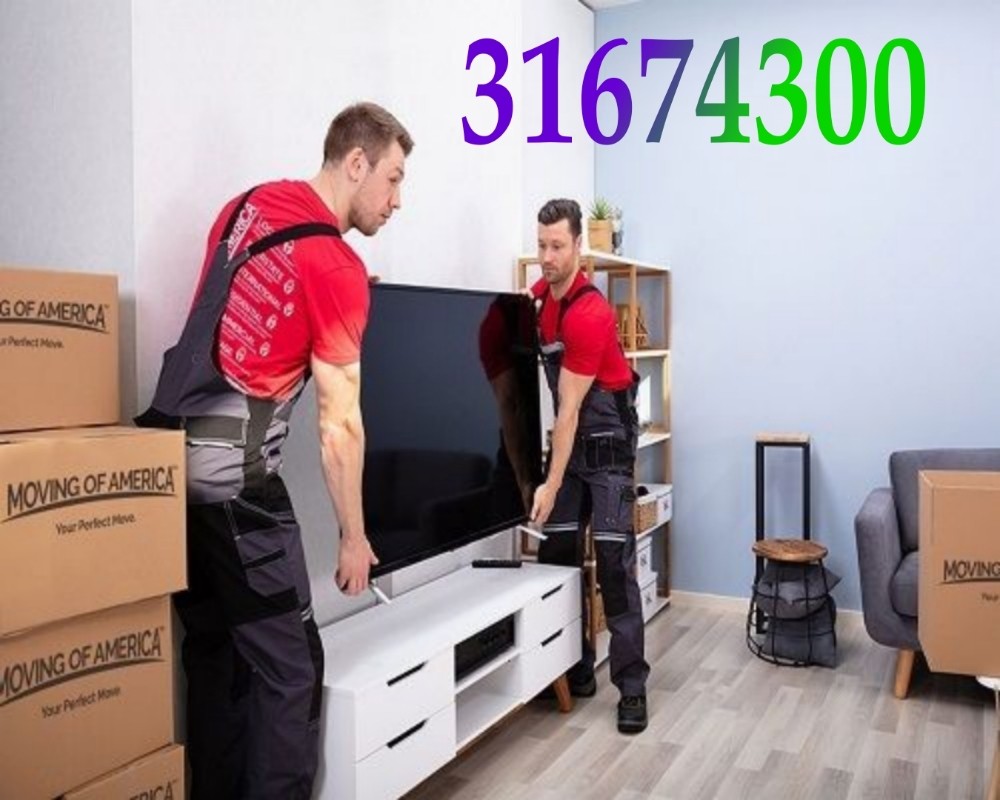 Qatar best moving shifting servic - 11