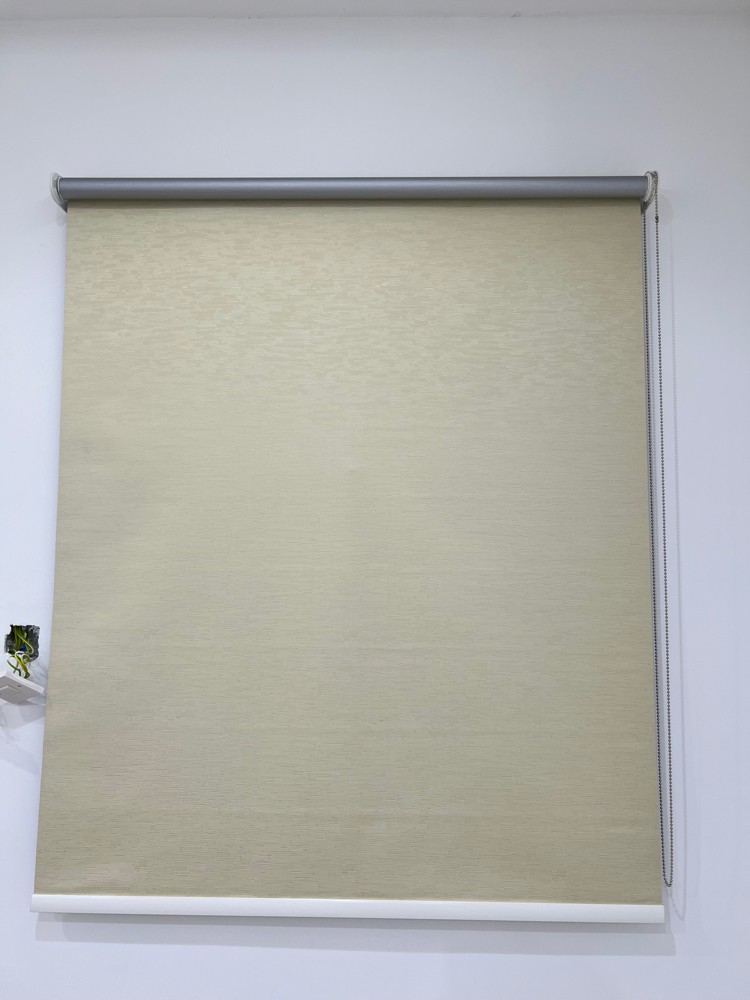 rollar curtain  - 2