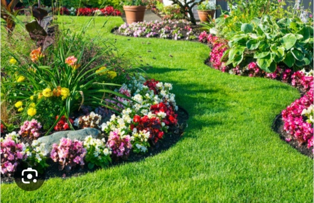 gardain work subhan55788574 - 1