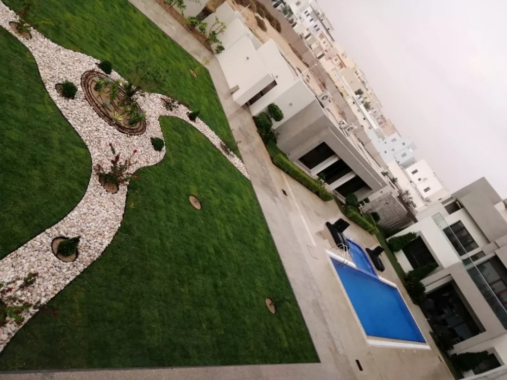 عشب طبيعي وصناعي - 2