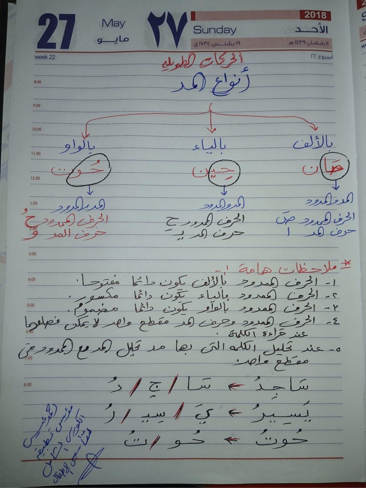 شيما - 1