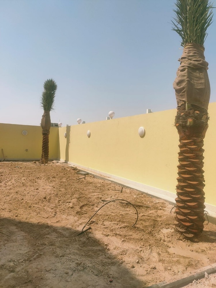نقوم بعمل النخيل - 3