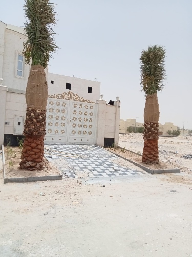 نقوم بعمل النخيل - 5